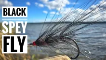 Video thumb for Black Spey Fly