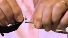 Video thumb for The Deadly Caddis Larva