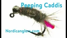 Video thumb for Jig Peeping Caddis