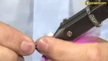 Video thumb for Pink Poodle