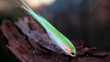 Video thumb for Craft fur baitfish