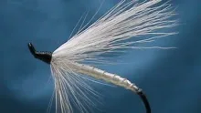 Video thumb for Polar White