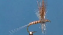 Video thumb for Biot Light Hendrickson