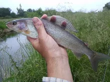 User submitted picture: Your comment here...