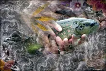 User submitted picture: This image is the result ...