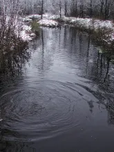 User submitted picture: Winterfishing for rainbow...