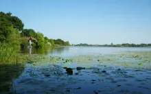 User submitted picture: This is a very nice fishi...