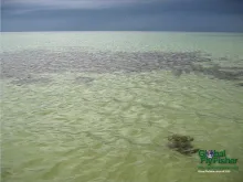 Computer screen wallpaper: Heavy rain in the horizon.