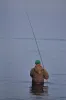 User submitted picture: angler