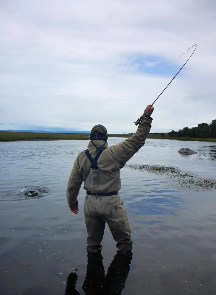 User submitted picture: nymph fishing pays off...