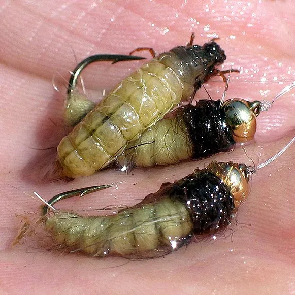 Real and artificial - A real caddis larva and two artificials.