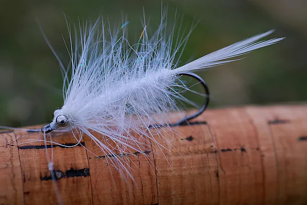 User submitted picture: The White