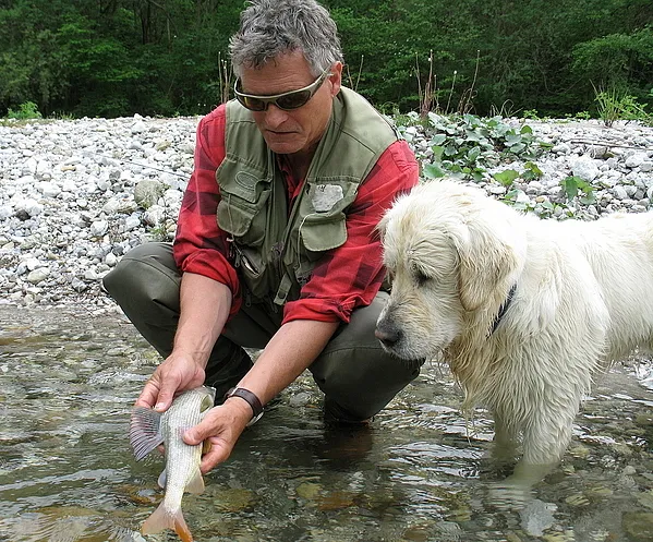 User submitted picture: Watch but don't touch. 