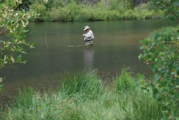 User submitted picture: Matching the hatch on Sil...