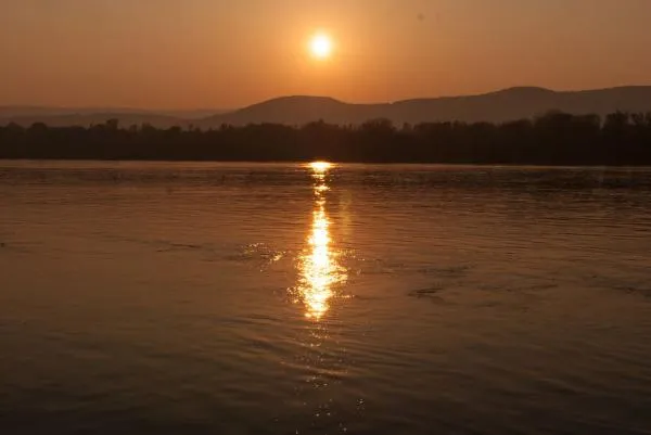 User submitted picture: Golden Bridge