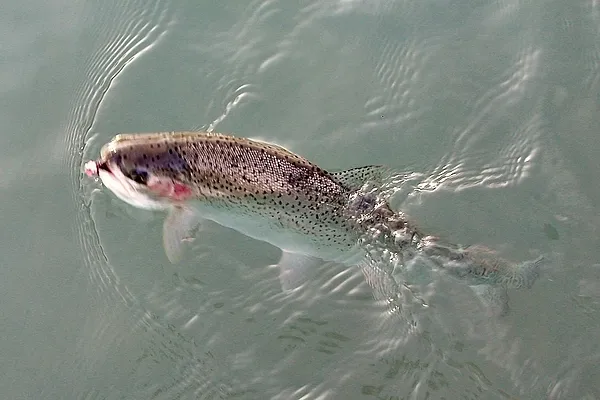 User submitted picture: Winter Rainbow-February o...