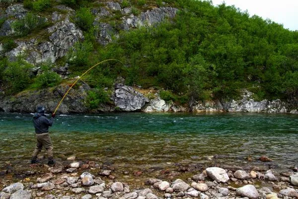 User submitted picture: Fight