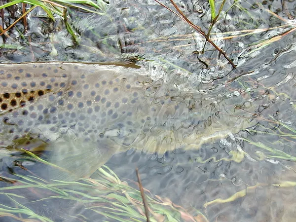 User submitted picture: New meaning to the words....