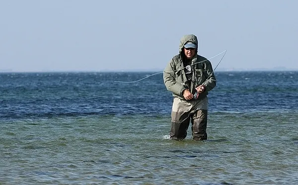 User submitted picture: Harsh weather