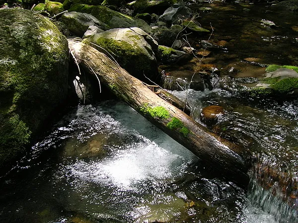 User submitted picture: A Plunge Pool, A Small Br...