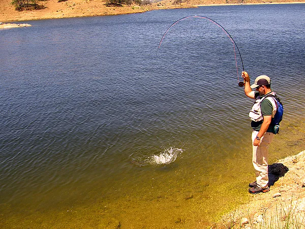 User submitted picture: Proving the strength of a...