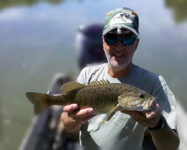 User submitted picture: A nice smallmouth bass