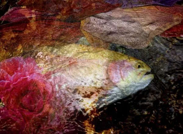 User submitted picture: This image is the result ...