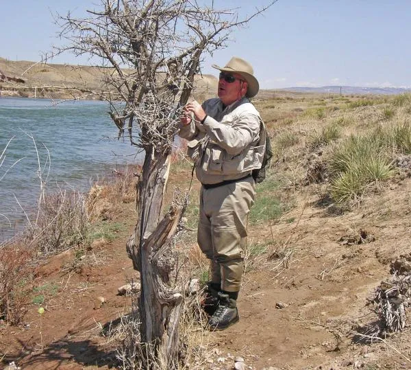 User submitted picture: The only tree within 100 ...