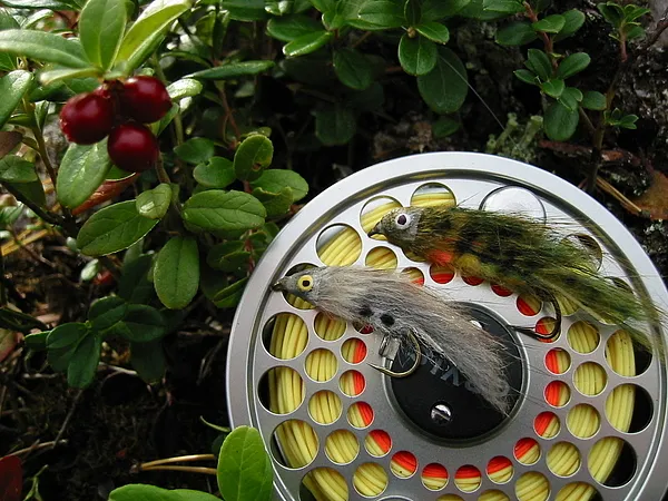 User submitted picture: My flyfishing friend Veli...