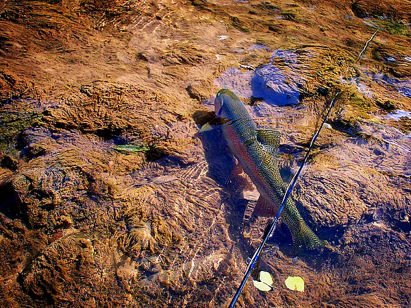 User submitted picture: Even not fear