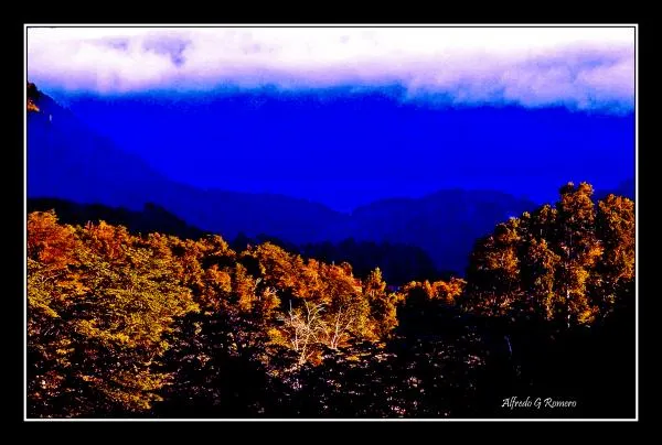 User submitted picture: San MartÃ­n de los Andes, ...