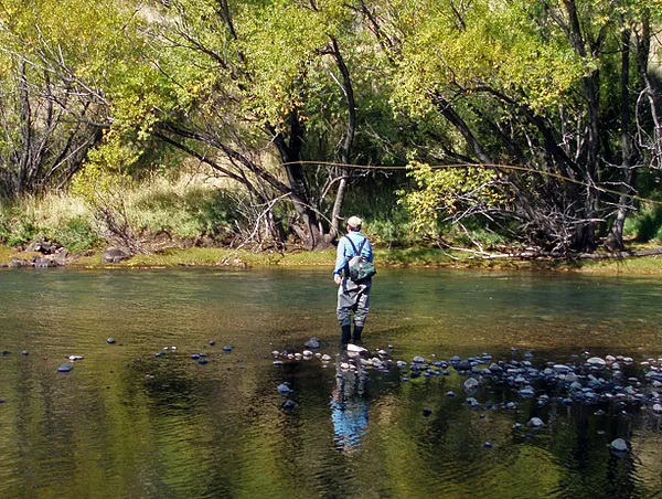 User submitted picture:  Fishing DryFly in the Ma...