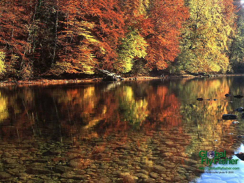 Computer screen wallpaper: Austrian Gmundner Traun