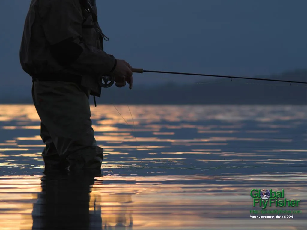 Computer screen wallpaper: Fishing in the sunset