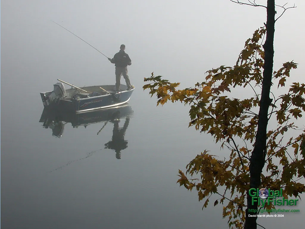 Computer screen wallpaper: Fishing a lake in the dense fog