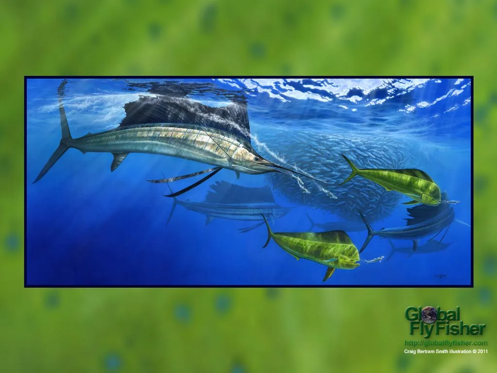Computer screen wallpaper: Sailfish and Dorado